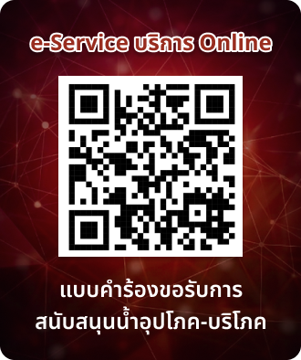 e-Service